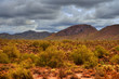 Winter Desert Storm Winter Desert Storm