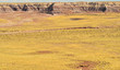 The Painted desert The Painted desert