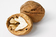 walnut