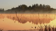 Misty morning sunrise on the marsh