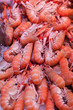 gambas fraiches