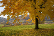 Herbstlandschaft