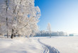 Winter park in snow Winter park in snow