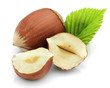Hazelnuts With Leaves