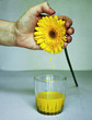 Gerbera-Juice