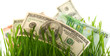 green grass with the dollar and euro isolated green grass with the dollar and euro isolated