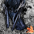 Crow+Leaf: Wanlockhead