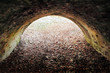 The-Dell-Walsingham-Norfolk