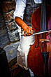 Cello-Love