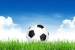 football in green grass