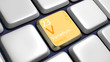 Keyboard (detail) with Vanadium element