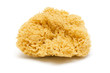 Natural Sponge Isolated on White