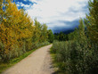 Canmore