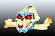 Illustration: skull & bone skull & bone