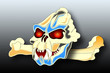 Illustration: skull & bone skull & bone