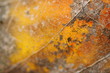 Photo: A-million-different-paths A-million-different-paths