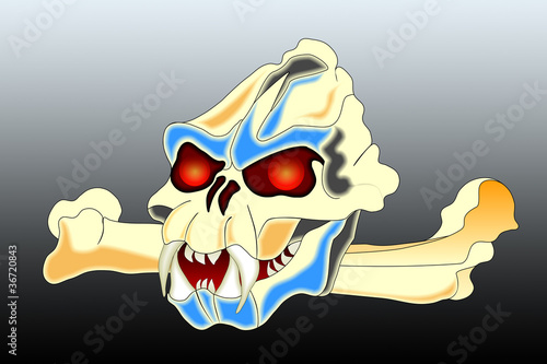 Illustration: skull & bone skull & bone