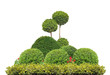 composition de buis taillés