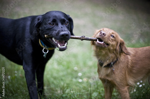 Photo: friendship friendship