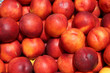 Nectarines at a market