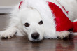 Sad Christmas