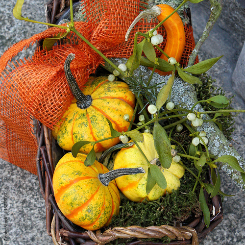 Photo: Herbstliches Stilleben Herbstliches Stilleben
