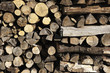 Holz
