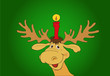 Rentier im Erster Advent Rentier im Erster Advent