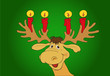 Rentier im 4.Advent Rentier im 4.Advent