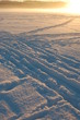 Photo: Winter Winter