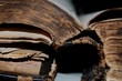 Photo: Old Book Old Book