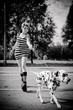 dalmatian 10-02