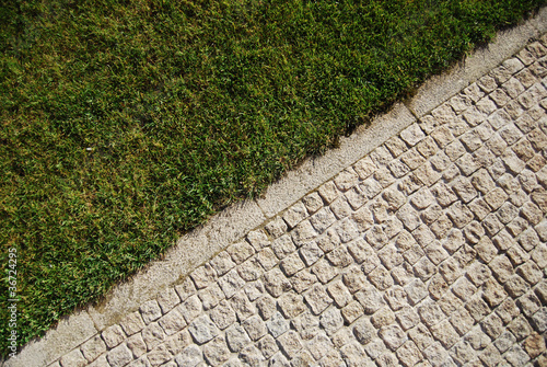Photo: dichotomy dichotomy