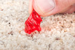 Candy stuck on carpet