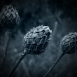 Midday-II