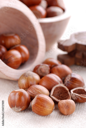Photo: nocciole - cinque nocciole - cinque