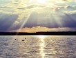 Waterscape