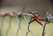 prison
