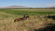 Horseman in the steppe. Horseman in the steppe.