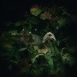 Photo: Secret-Eater Secret-Eater
