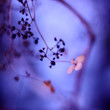 Photo: Last-breath Last-breath