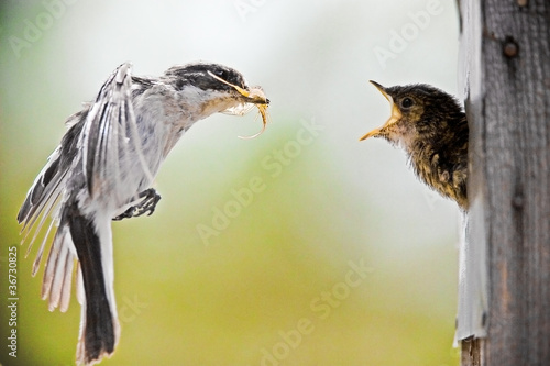 Photo: Hunger Hunger