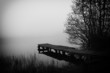 Land-of-fog