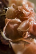 charcuterie