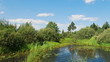 Time lapse clip of clouds over the marsh