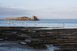 Cancale - Coltivazione Cozze e Ostriche - Bretagna (Francia) Cancale - Coltivazione Cozze e Ostriche - Bretagna (Francia)