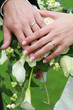 Mains, alliances, bouquet Mains, alliances, bouquet