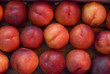 peaches on display at the farmer's market