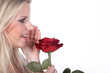 Frau sagt es durch die Blume