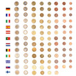 Euro coin money